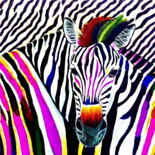 Zebra multicolour
